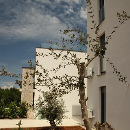 Apartman Olive Garden Istra *